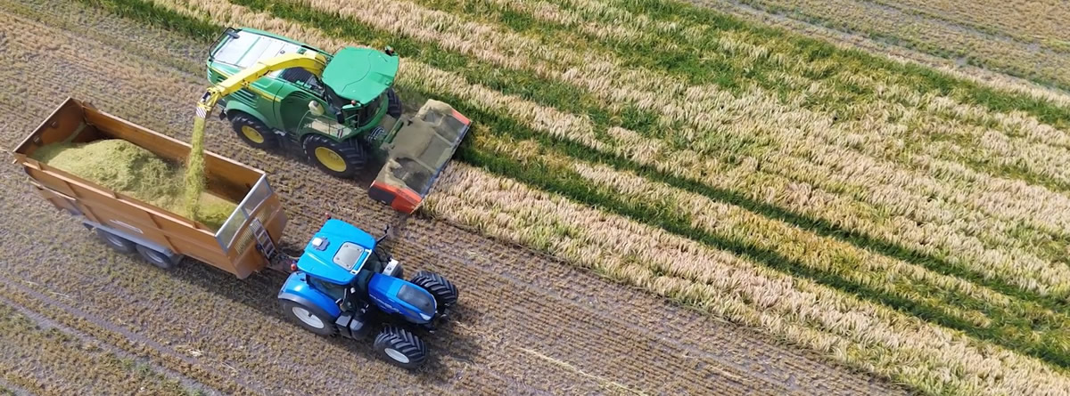 Why Farmers Are Switching to the Ryetec Quickcut Wholecrop Headers